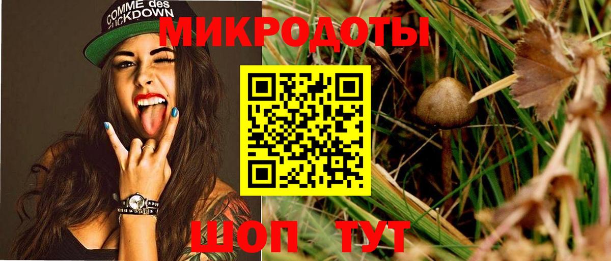 Галлюциногенные грибы прущие грибы  Вход с VPN  Туймазы 